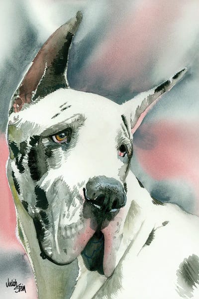 Harlequin Romance - Black & White Great Dane by Judith Stein canvas print