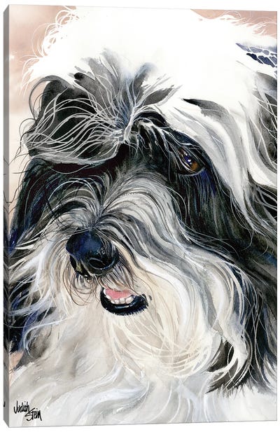 Havana Silk Dog - Havanese Canvas Art Print - Judith Stein