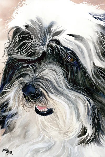 Havanese: Havana Silk Dog - Havanese by Judith Stein