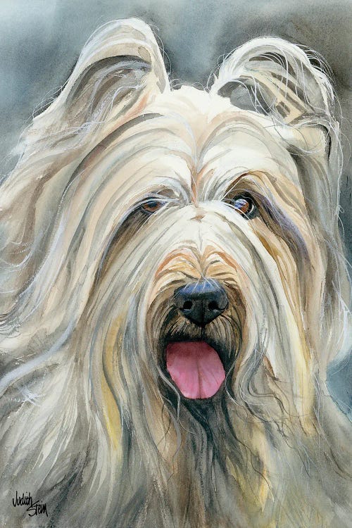 Heart Wrapped in Fur - Briard