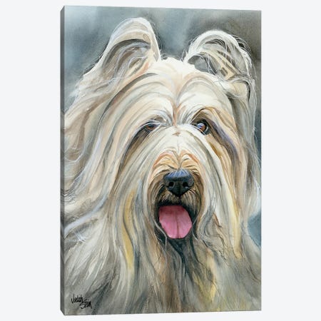 Heart Wrapped in Fur - Briard Canvas Print #JDI78} by Judith Stein Canvas Print