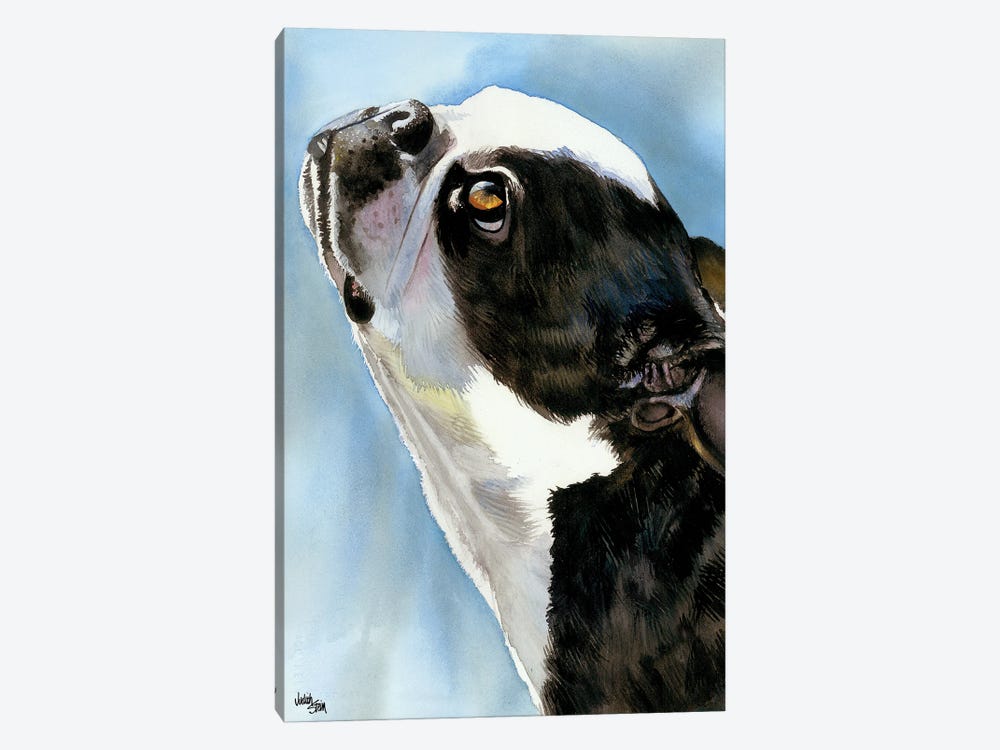 Here's Looking at You - Boston Terrier by Judith Stein 1-piece Art Print