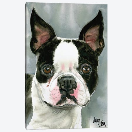 American Gentleman - Boston Terrier Canvas Print #JDI7} by Judith Stein Canvas Art Print