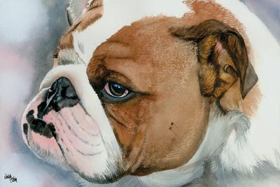 Hey Bulldog - English Bulldog by Judith Stein metal wall art