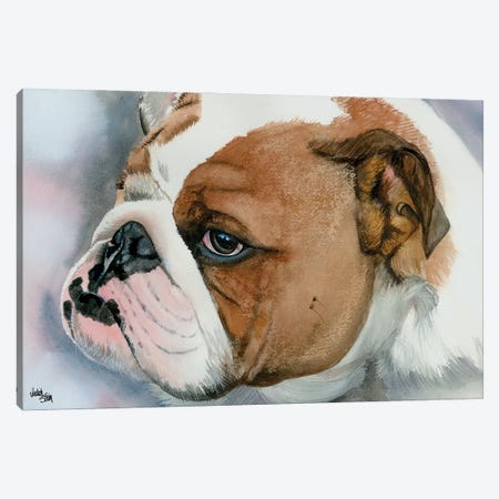 Hey Bulldog - English Bulldog Canvas Print #JDI80} by Judith Stein Canvas Wall Art