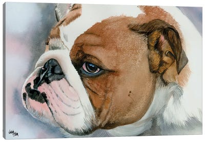 Hey Bulldog - English Bulldog Canvas Art Print - Judith Stein