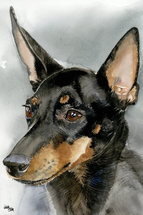 High Spirits - Toy Manchester Terrier