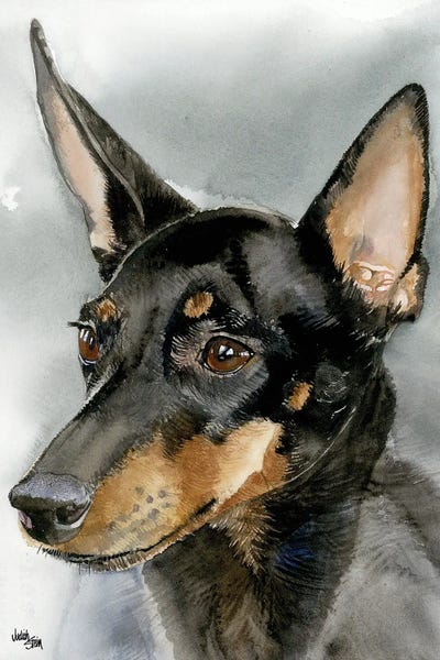 Manchester Terriers