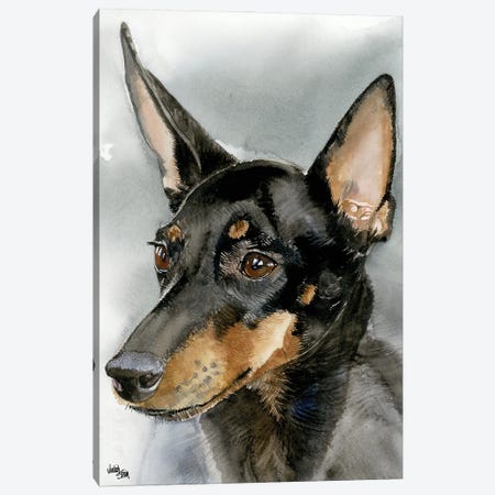 High Spirits - Toy Manchester Terrier Canvas Print #JDI81} by Judith Stein Canvas Artwork