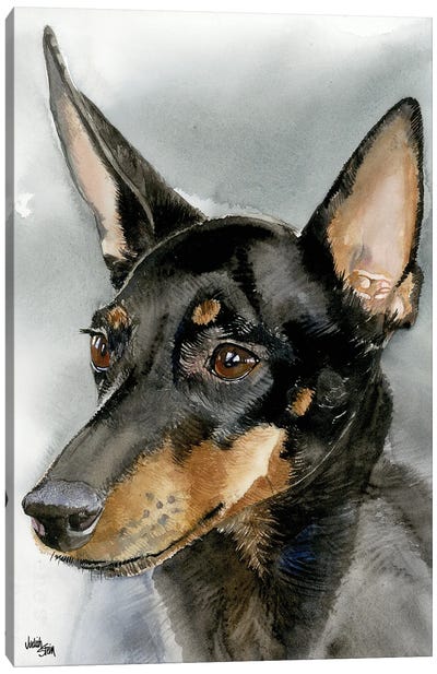High Spirits - Toy Manchester Terrier Canvas Art Print - Judith Stein