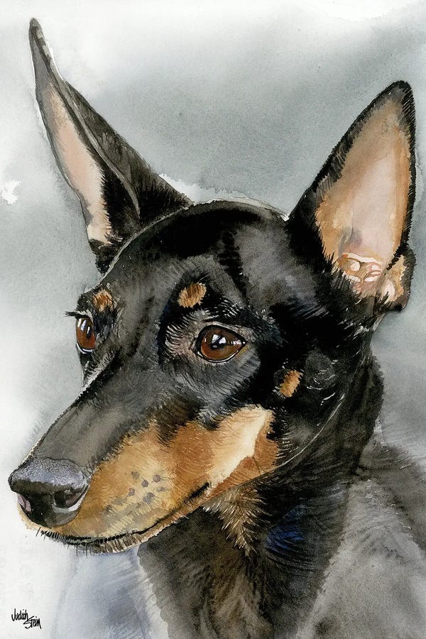 Manchester Terriers