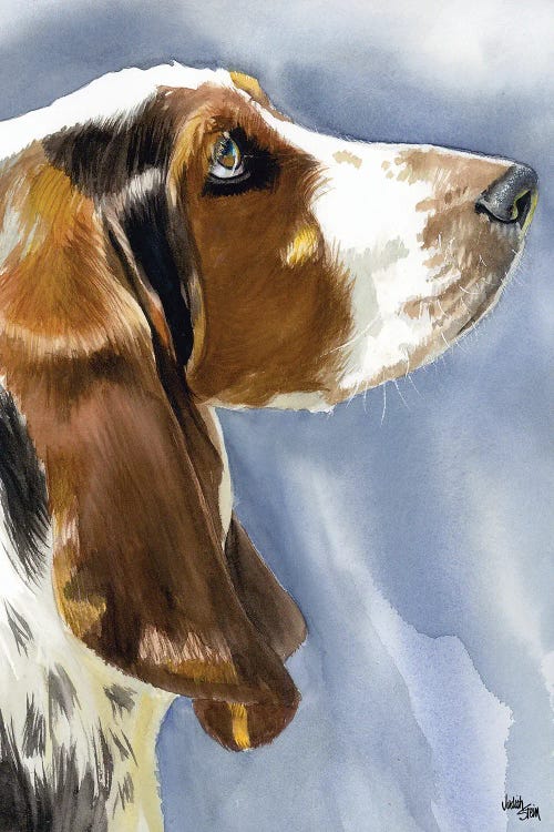 Hush Puppy Dog - Basset Hound by Judith Stein wall art