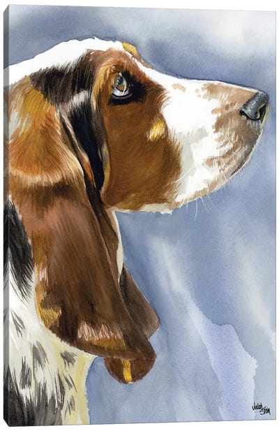 Hush Puppy Dog - Basset Hound Canvas Art Print - Judith Stein