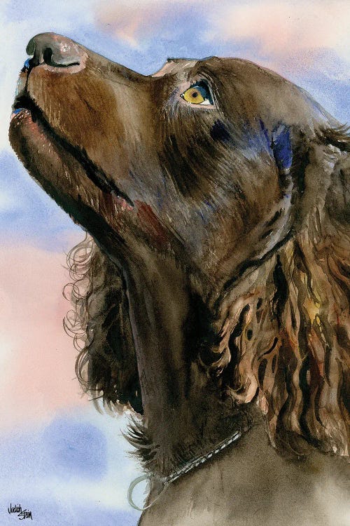 I Love a Mystery - American Water Spaniel