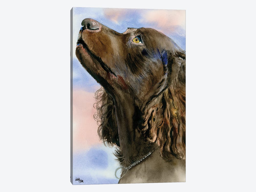 I Love a Mystery - American Water Spaniel by Judith Stein 1-piece Canvas Artwork