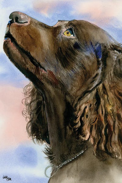 I Love a Mystery - American Water Spaniel