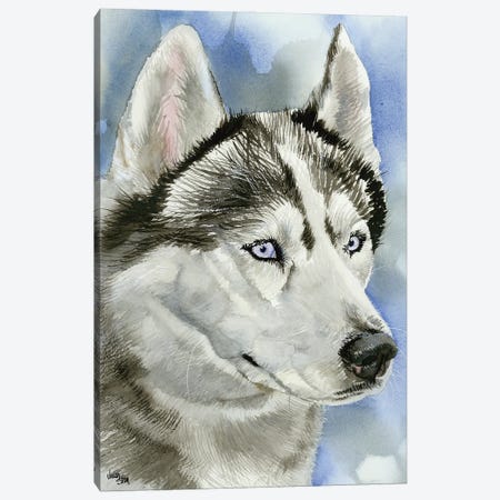 Ice Blue - Siberian Husky Dog Canvas Print #JDI84} by Judith Stein Canvas Art Print