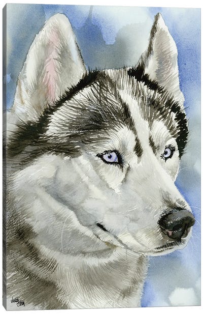 Ice Blue - Siberian Husky Dog Canvas Art Print