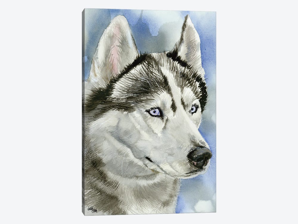 Ice Blue - Siberian Husky Dog by Judith Stein 1-piece Art Print