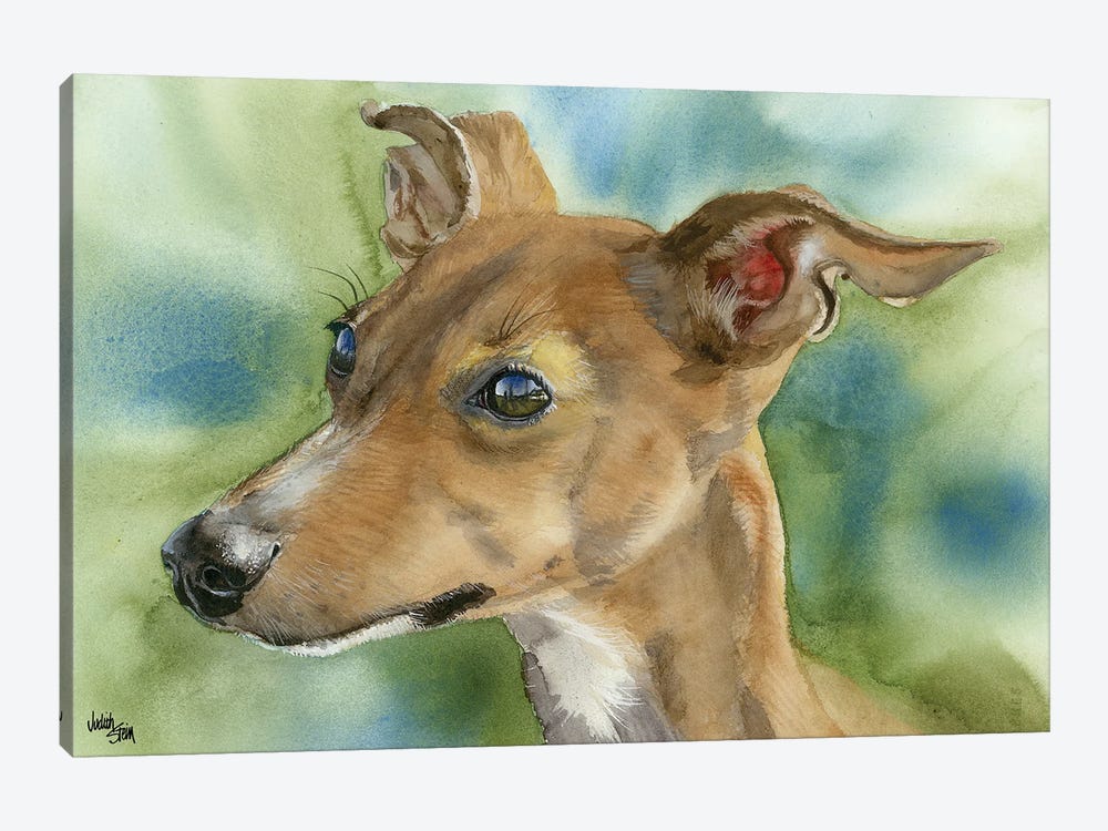 Iggy Pop - Italian Greyhound by Judith Stein 1-piece Canvas Art