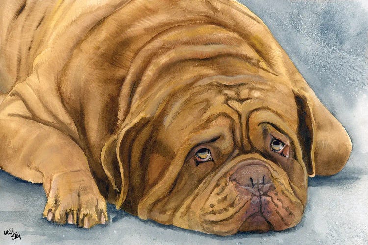 In Dogue We Trust - Dogue de Bordeaux