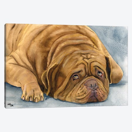 In Dogue We Trust - Dogue de Bordeaux Canvas Print #JDI86} by Judith Stein Canvas Print