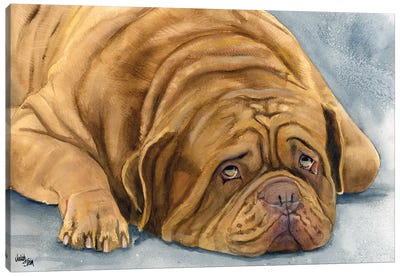 In Dogue We Trust - Dogue de Bordeaux Canvas Art Print - Judith Stein