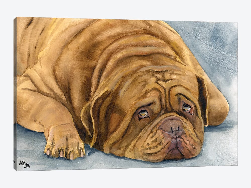 In Dogue We Trust - Dogue de Bordeaux by Judith Stein 1-piece Canvas Art Print