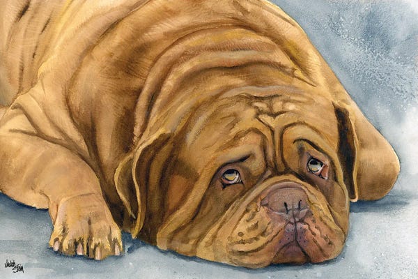Dogues de Bordeaux