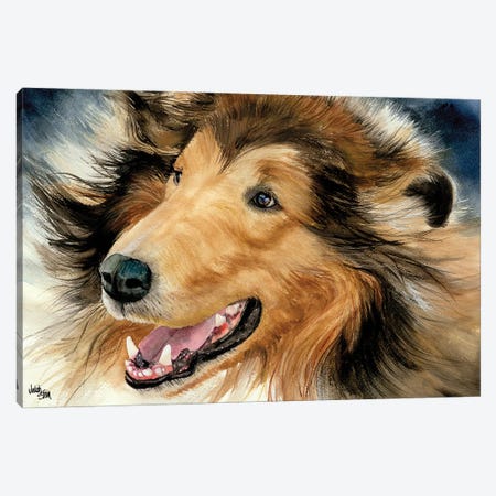 In the Rough - Collie Canvas Print #JDI87} by Judith Stein Canvas Print