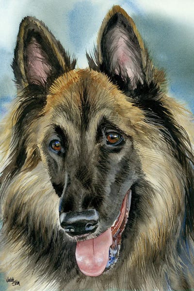 Jack of All Trades - Belgian Turvuren
