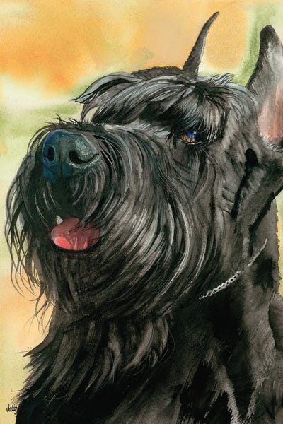 Jolly Giant - Giant Schnauzer by Judith Stein metal wall art