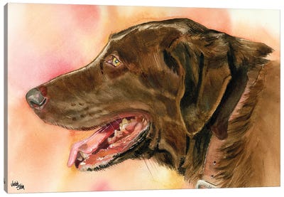 Lady Godiva - Chocolate Lab Canvas Art Print - Labrador Retriever Art