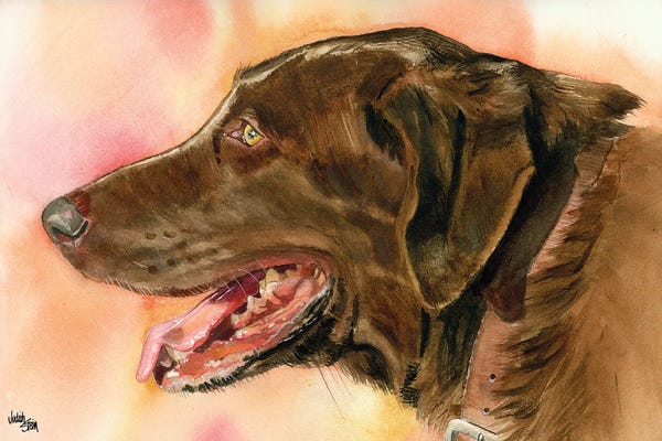 Labrador Retrievers: Lady Godiva - Chocolate Lab by Judith Stein