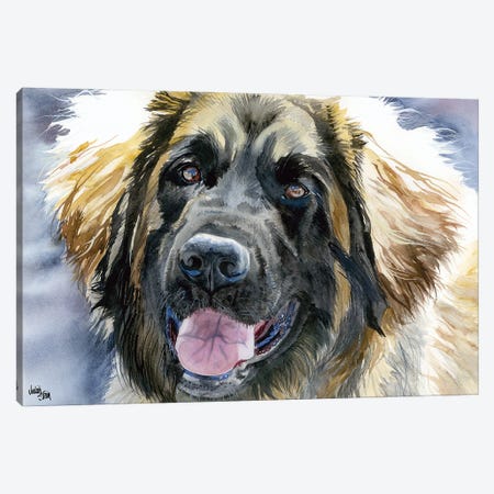 Leo - Leonberger Dog Canvas Print #JDI94} by Judith Stein Canvas Artwork