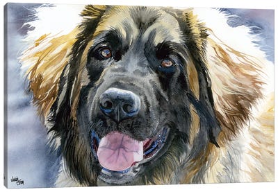 Leo - Leonberger Dog Canvas Art Print - Judith Stein
