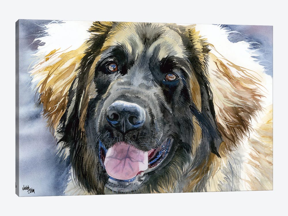Leo - Leonberger Dog by Judith Stein 1-piece Canvas Art