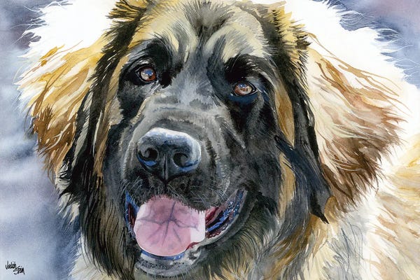 Leonbergers