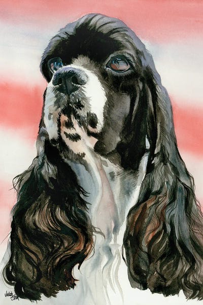 Spaniels: Life of the Party - Cocker Spaniel Parti colored by Judith Stein