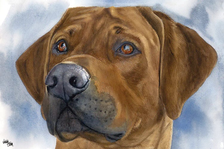 Lion Dog - Rhodesian Ridgeback