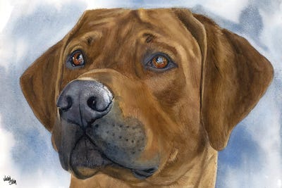 Rhodesian Ridgebacks