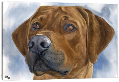 Lion Dog - Rhodesian Ridgeback Canvas Art Print - Judith Stein