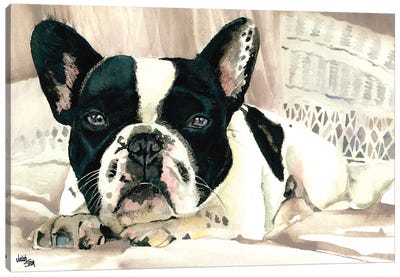 Lounge Act Canvas Art Print - Boston Terrier Art