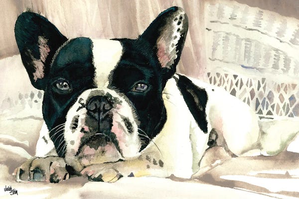 Terriers: Lounge Act by Judith Stein