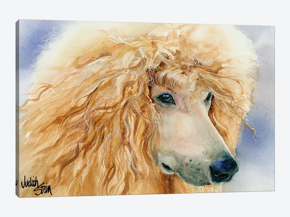 Apricot Angel - Apricot Standard Poodle by Judith Stein 1-piece Canvas Art Print