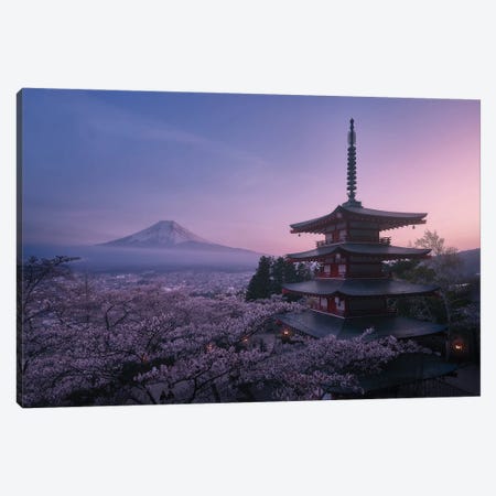 Mt Fuji Sakura Canvas Print #JDL17} by Javier de la Torre Canvas Art Print