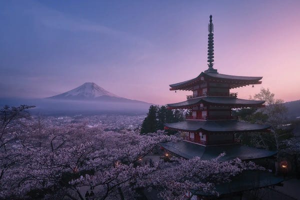 Asia: Mt Fuji Sakura by Javier de la Torre