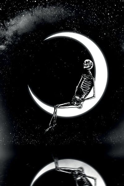 Skeletons: Dreamer by Junaid Mortimer