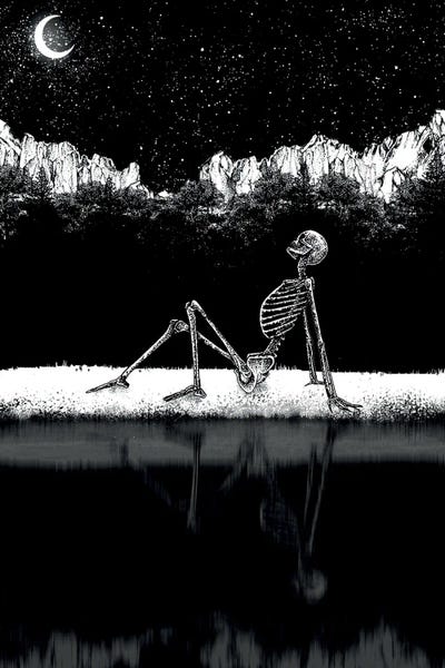 Skeletons: Embrace The Darkness by Junaid Mortimer