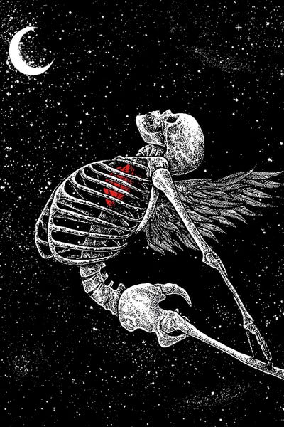 Skeletons: Free by Junaid Mortimer